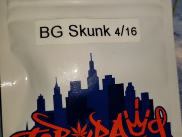 Vente: BG Skunk Topdawg seeds