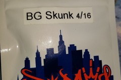 Sell: BG Skunk Topdawg seeds