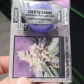 Sell: Lilac jack brand new sealed 15+regular power purps