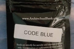 Vente: Code Blue Archive seeds