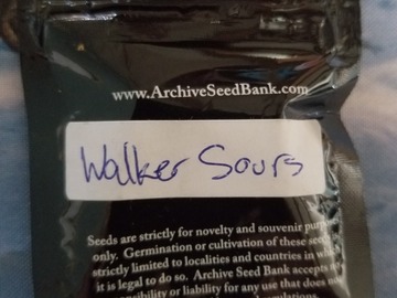 Vente: Walker Sours Archive seeds