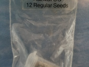 Vente: Hazmat Og Archive seeds