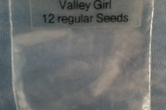 Sell: Valley Girl Archive seeds