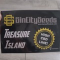 Venta: TREASURE ISLAND high cbd 7 feminized seeds sealed pack