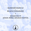 Vente: Bandaid Haze x Black Congolese x Oaxacan x Angel Wing Sativa