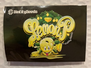 Vente: Lemon P from Sin City