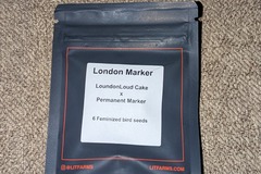 Venta: London Marker (London Loud Cake x Permanent Marker)