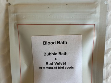 Blood Bath from LIT Farms