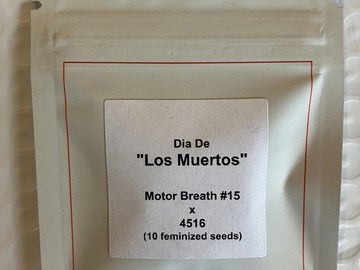 Sell: Dia De "Los Muertos" from LIT Farms