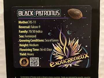 Vente: Black Patronus from Exotic Genetix