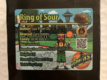 Vente: Ring of Sour from Exotic Genetix