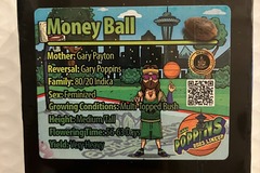 Sell: Money Ball from Exotic Genetix