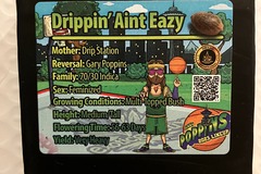 Sell: Drippin' Ain't Eazy from Exotic Genetix