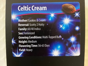 Venta: Celtic Cream from Exotic Genetix