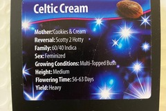 Vente: Celtic Cream from Exotic Genetix