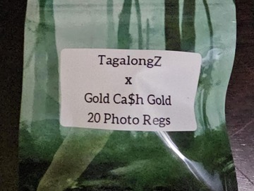 Venta: TagalongZ #9 x Gold Ca$h Gold - 20 Photo Regs