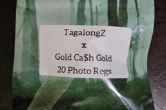 Venta: TagalongZ #9 x Gold Ca$h Gold - 20 Photo Regs