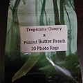 Sell: Tropicana Cherry x Peanut Butter Breath - 20 Photo Regs