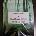 Sell: Meatbreath x Blackberry Breath F2 - 20 Photo Regs