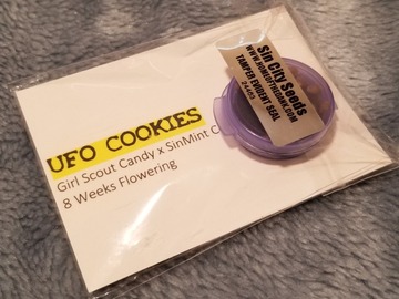 Venta: Sin City Seeds- UFO Cookies  15 regs
