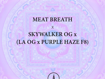 Venta: Meat Breath x Pagoda Kush - 1/1 LIMITED RELEASE