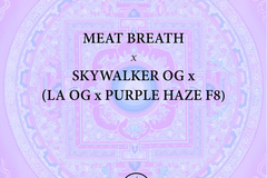 Venta: Meat Breath x Pagoda Kush - 1/1 LIMITED RELEASE