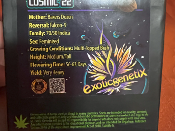 Sell: Cosmic 22 by Exotic Genetix