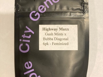 Venta: Purple City Genetics ‘Highway Maxx’ (Gush Mints x Bubba Diagonal)