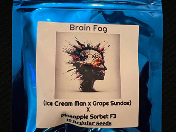Sell: Terpfi3nd Brain Fog 10 pack