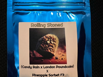 Vente: Terpfi3nd Rolling Stoned 10 pack
