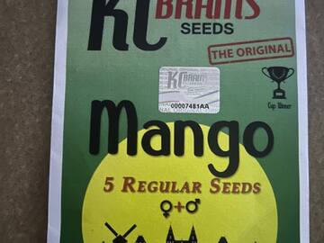 Vente: KCBrains - Mango; papaya heritage