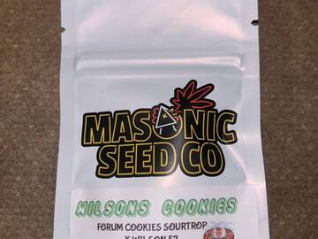 Vente: Masonic Seeds - Wilsons Cookies