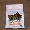 Sell: Masonic Seeds - Bubba Trop 2099