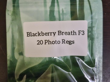 Sell: Blackberry Breath F3