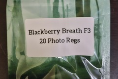 Vente: Blackberry Breath F3