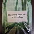 Vente: Blackberry Breath F3