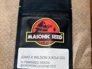 Sell: Masonic Seeds - GMO x Wilson x Koji OG (FEMS)