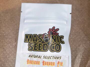 Sell: Masonic Seeds - Dosidos Banana Pie