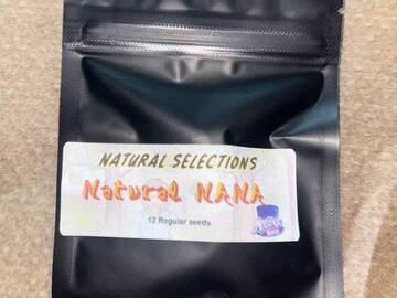 Venta: Masonic Seeds - Natural Nana *banana flavor*