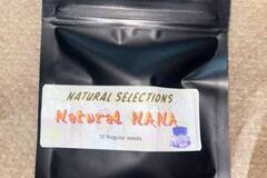 Sell: Masonic Seeds - Natural Nana *banana flavor*