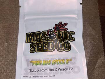 Vente: Masonic Seeds - ECSD x Romulan x Wilson F2