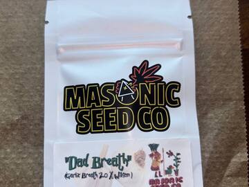 Sell: Masonic Seeds - Garlic Breath 2.0 x Wilson