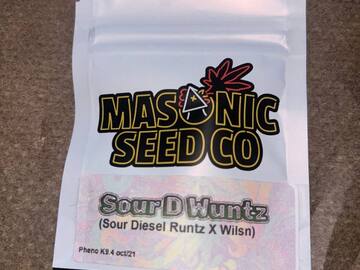 Venta: Masonic Seeds - Sour Diesel Runtz x Wilson *FIRE*