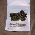 Sell: Masonic Seeds - Sour Diesel Runtz x Wilson *FIRE*