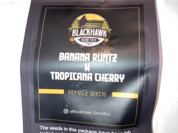 Sell: Banana Runtz X Tropicana Cherry Feminized Seeds