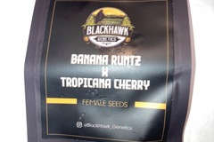 Vente: Banana Runtz X Tropicana Cherry Feminized Seeds