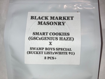 Sell: Black Market Masonry (Smart Cookies X Swamp Boys Special)