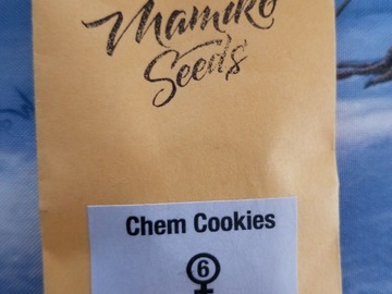 Vente: Chem cookies Mamiko