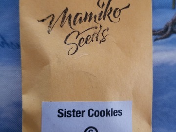 Sell: Sister cookies Mamiko
