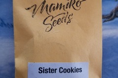 Venta: Sister cookies Mamiko